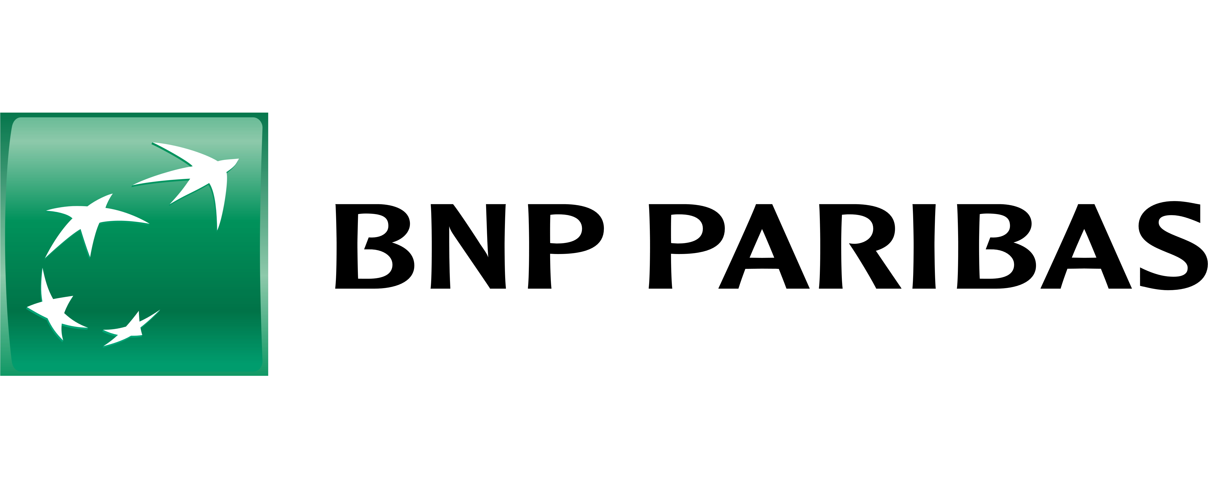 Bnp paribas logo